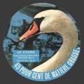 Cygne-04