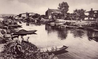 Damvix barques