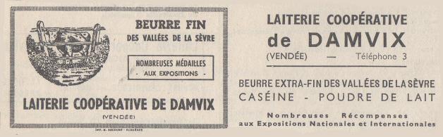 Damvix pub 05