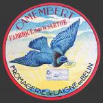 Demarest-11 (pigeon 11nv)