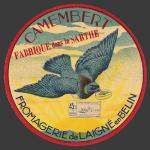Demarest-13nv (pigeon 13)
