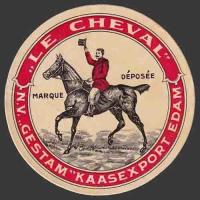 Dressage-33 Cheval 33nv