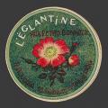 eglantine-03.jpg