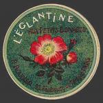 Eglantine-03nv (Boudier-03)