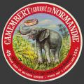 elephant-02.jpg
