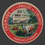 Indre loire 539nv (orbigny 39)