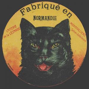 La Lézarde-6nv Montivilliers