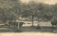 Lavalou-fromagerie-10