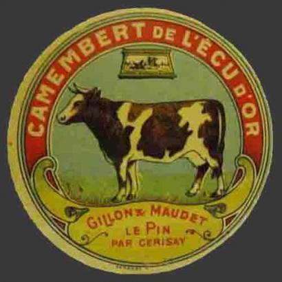 Le Pin-791nv (Gillon Maudet)