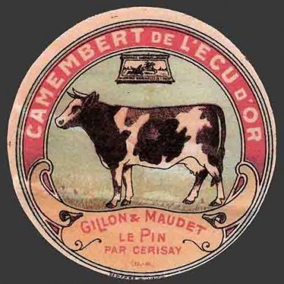 Le Pin-796nv (Gillon Maudet)