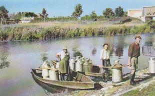 le-ramassage-du-lait-en-bateaux-sud-vendee-001.jpg
