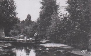 le-ramassage-du-lait-en-bateaux-sud-vendee-002.jpg