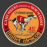 levrier-012.jpg