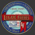 Ligue-freres-21 (Macé 21nv)