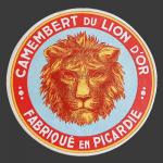 lion-010.jpg