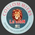 lion-012.jpg