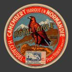 Manche aigle 2
