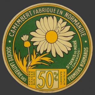 Marguerite-24 (Berjou 24nv)