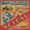 Maroilles-397nv Scifau