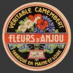 Mloire-315nv (Fleurs-315)