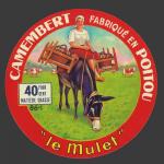 Mulet-vienne-01