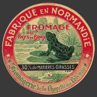 Oise-110nv Grenouille-01