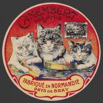 Oise-120nv (oise chats 01)
