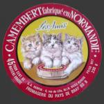 Oise-129nv (oise chats 09)