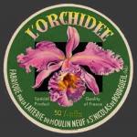 Orchidee-1nv (StNicBourgueil