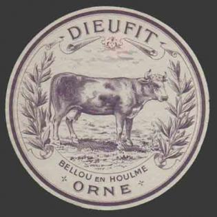 Orne-427nv
