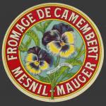 Pensée-01nv (Mesnil Mauger)