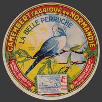 Perruche 02bnv