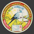 Perruche-02nv
