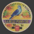 Perruche-03nv