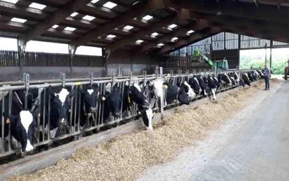 Pette j-c-4 ferme juchy