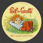 Poil-carotte-04b