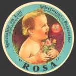 Rosa-162nv (Chasseneuil)