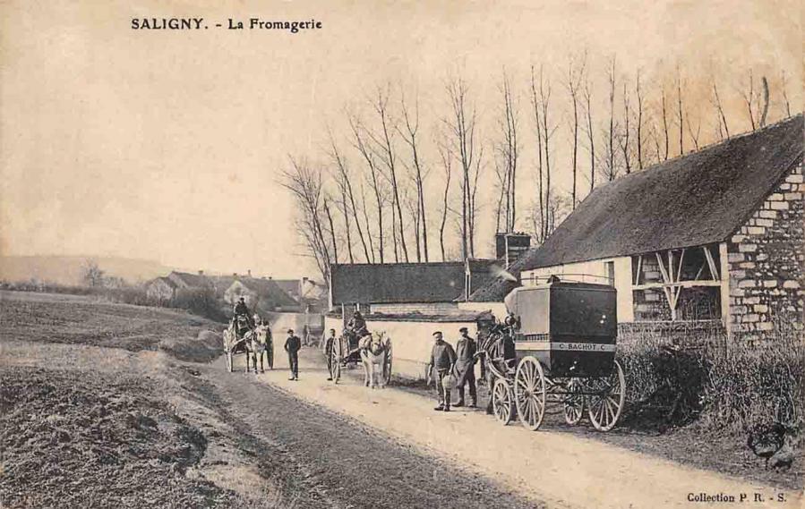 Saligny cp