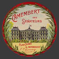 Senat 03