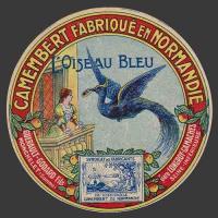 Somme-175nv Bleu-Oiseau-5