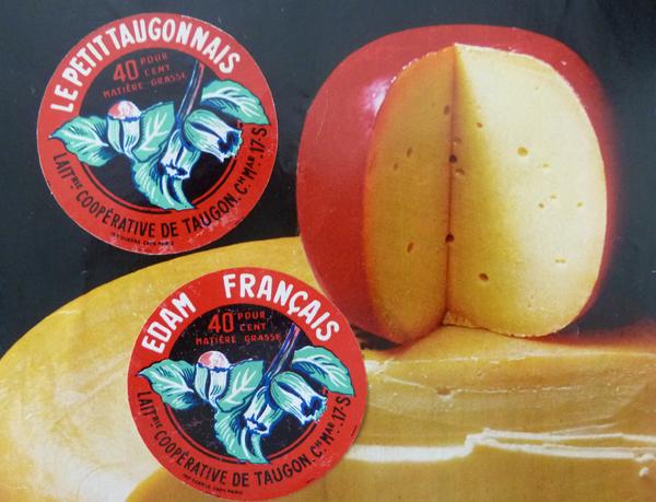 Taugonnnais 003nv