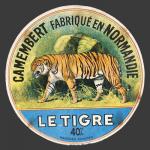 tigre-5.jpg