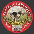 Vache 49nv