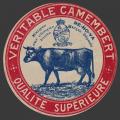 vache-gauche-01.jpg