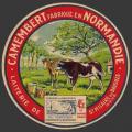 Vaches-6124nv Saint-Hilaire-de-Briouze