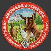 vienne-106.jpg