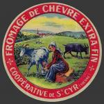 Vienne-123nv (Saint-Cyr)
