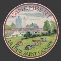 Vienne-234-nv